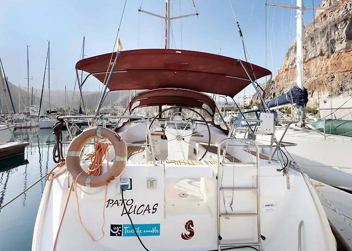 Pato Lucas Sail Boat